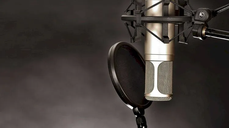 Become a professional Voice Actor in 7 easy steps. Udemy