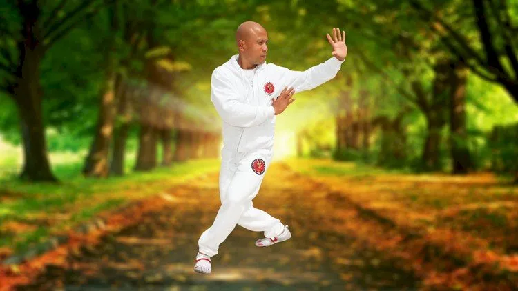 Tai Chi - Yang style- Chi Kung 