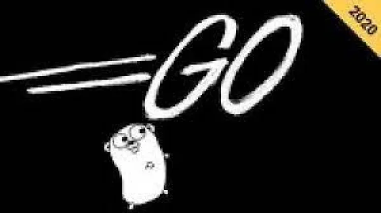 Master Go (Golang) Programming:The Complete Go Bootcamp 2022