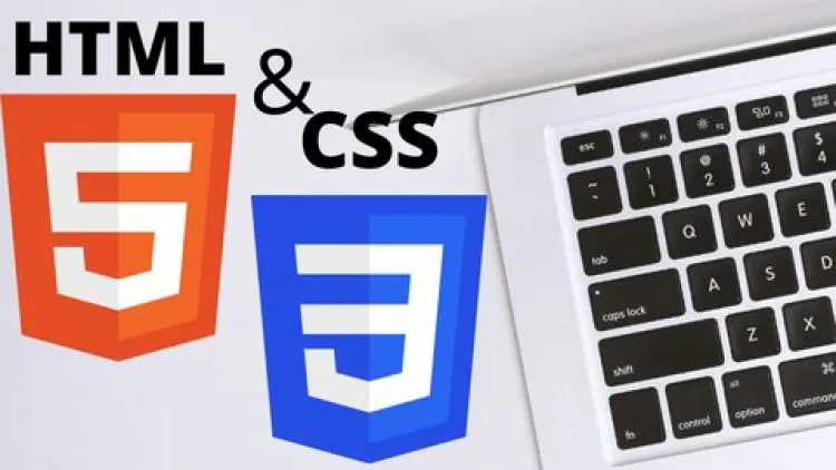 The Complete HTML&CSS Bootcamp 2021: Zero To Hero HTML&CSS Udemy