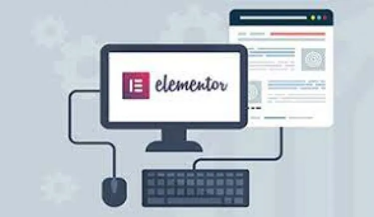 Web Design Training with Elementor