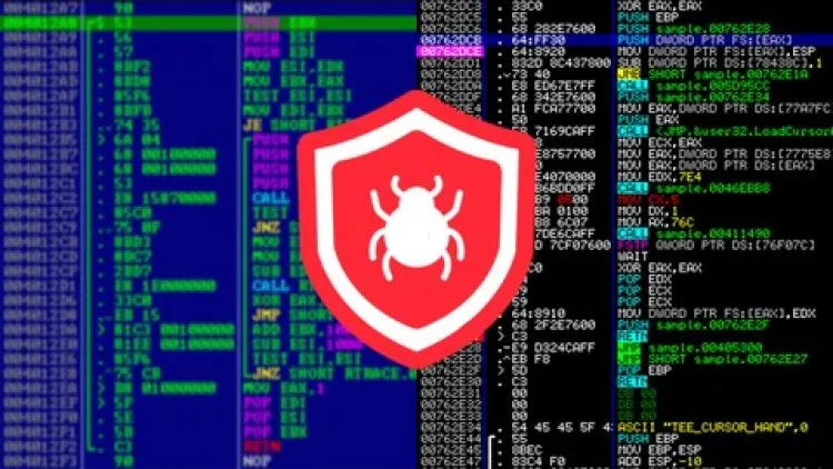 Reverse Engineering, Debugging And Malware Analysis – 2021 Udemy