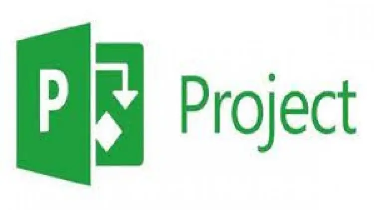 MS Project Professional Beginner to Expert.