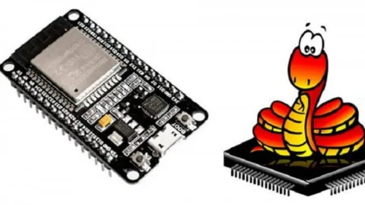 Hardware Programming in MicroPython