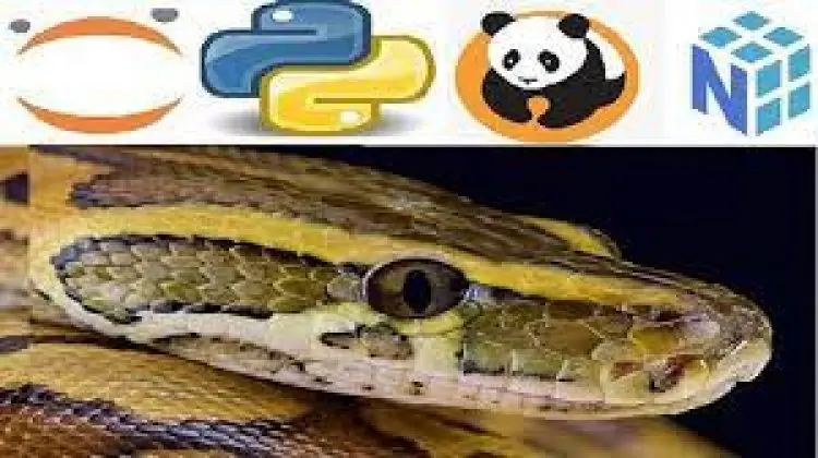 2022 Python Bootcamp for Data Science Numpy Pandas & Seaborn