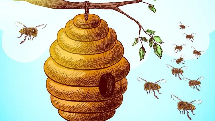 Artificial bee colony Optimization Algorithm (Using MATLAB)