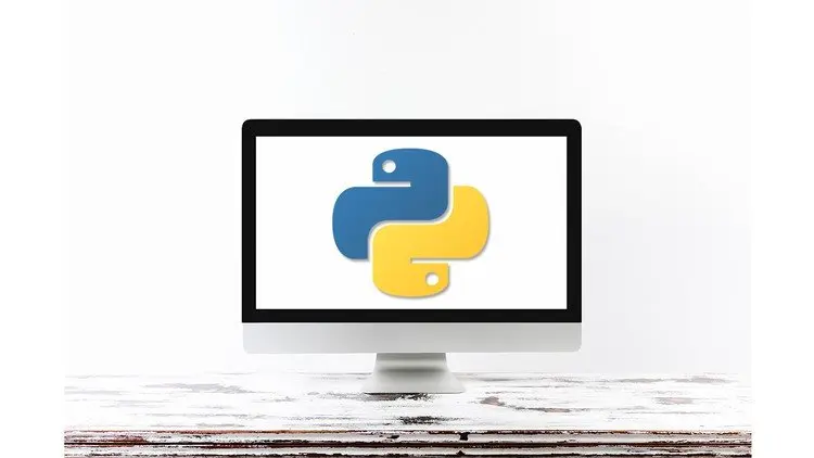 Python Basics Coding for Absolute Beginners : Programming