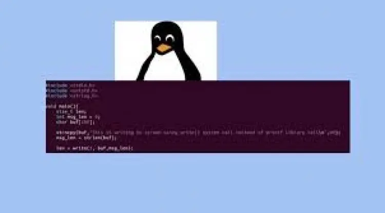 Linux System Programming - A programmers/Practical Approach