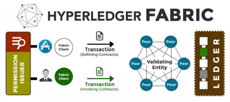 The Basics of Hyperledger Fabric