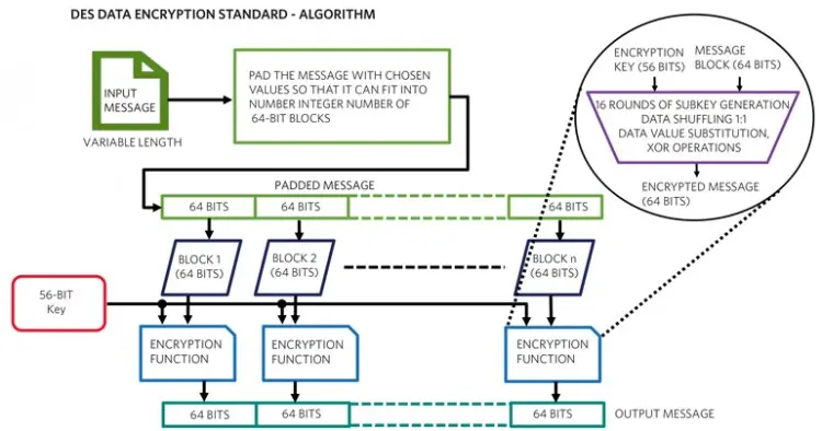 Cryptography: Learn All Encryption Algorithm (2022)