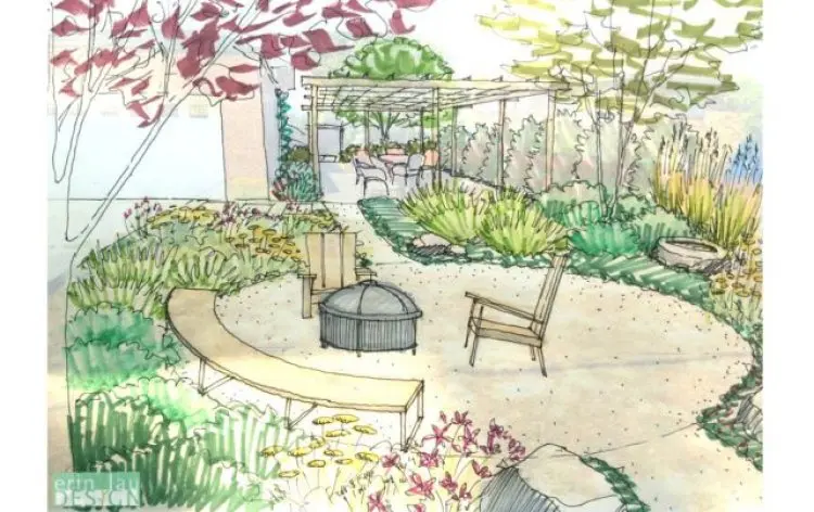 Plant Drawings and Illustrations in Garden Design