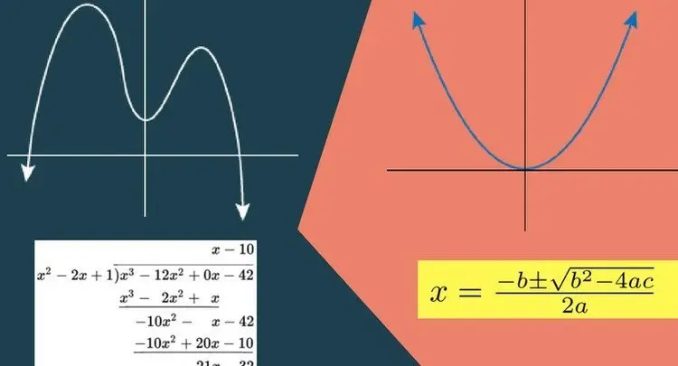 Polynomial and Quadratic equations in Algebra | Mathematics