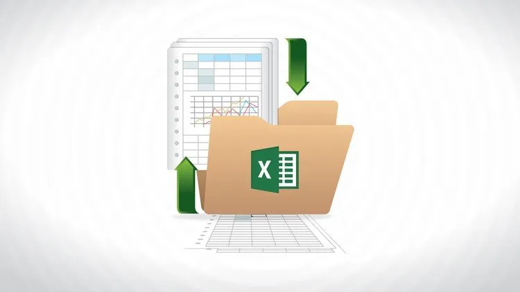 Microsoft Excel for Beginners