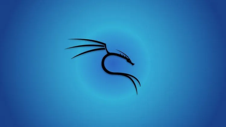 Learn Ethical Hacking Process with Kali Linux