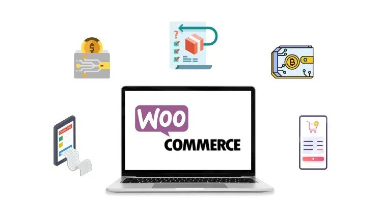 Advanced Woo-commerce customization Training for Freelancers