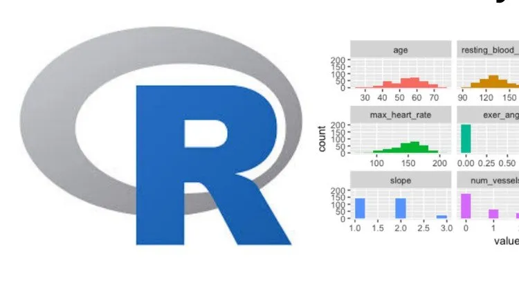 R Programming for Data Science for Absolute Beginners [2022]