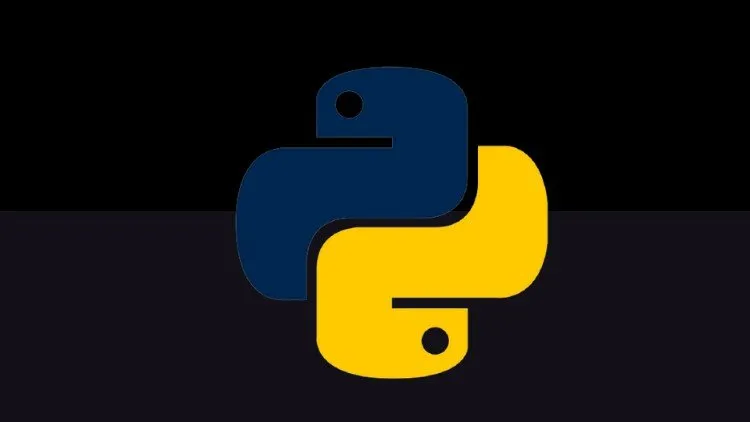 Do Different Real-World Python Projects as a Beginner