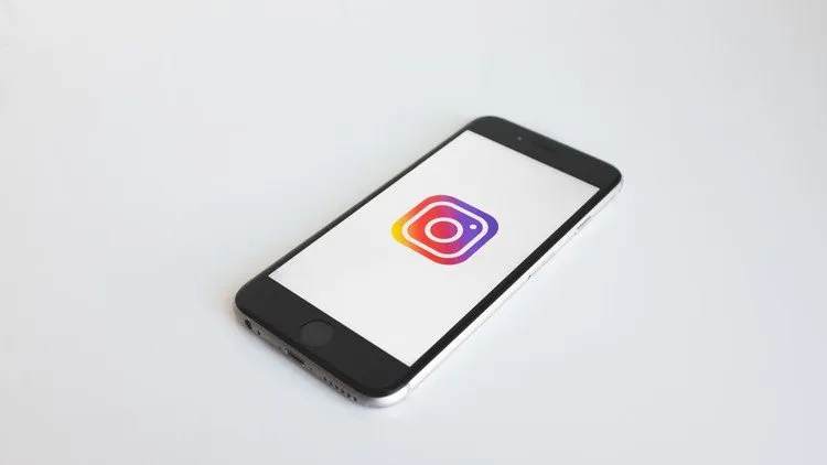 Rapid & Organic Instagram Growth Strategies + Influencing