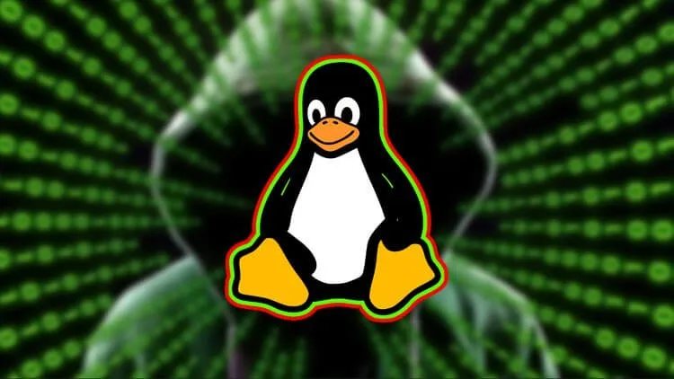 Become a Linux Pro: A Comprehensive Guide